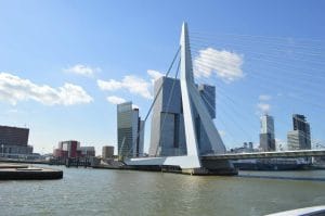 12764564 1730861260464312 7392239119319671878 o