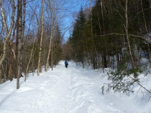 quebec 11