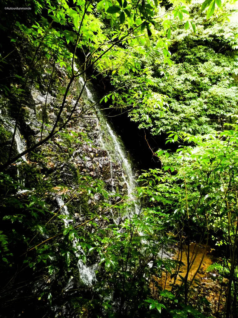 cascade5 copie scaled