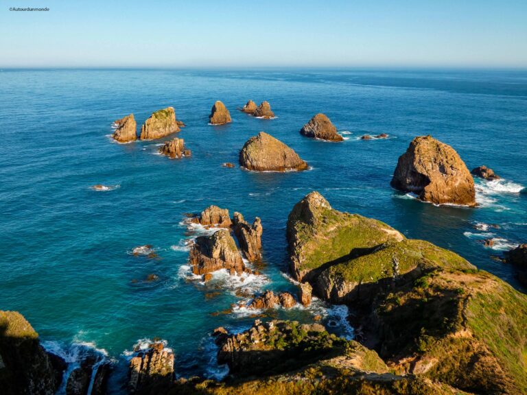 nuggest1 copie scaled